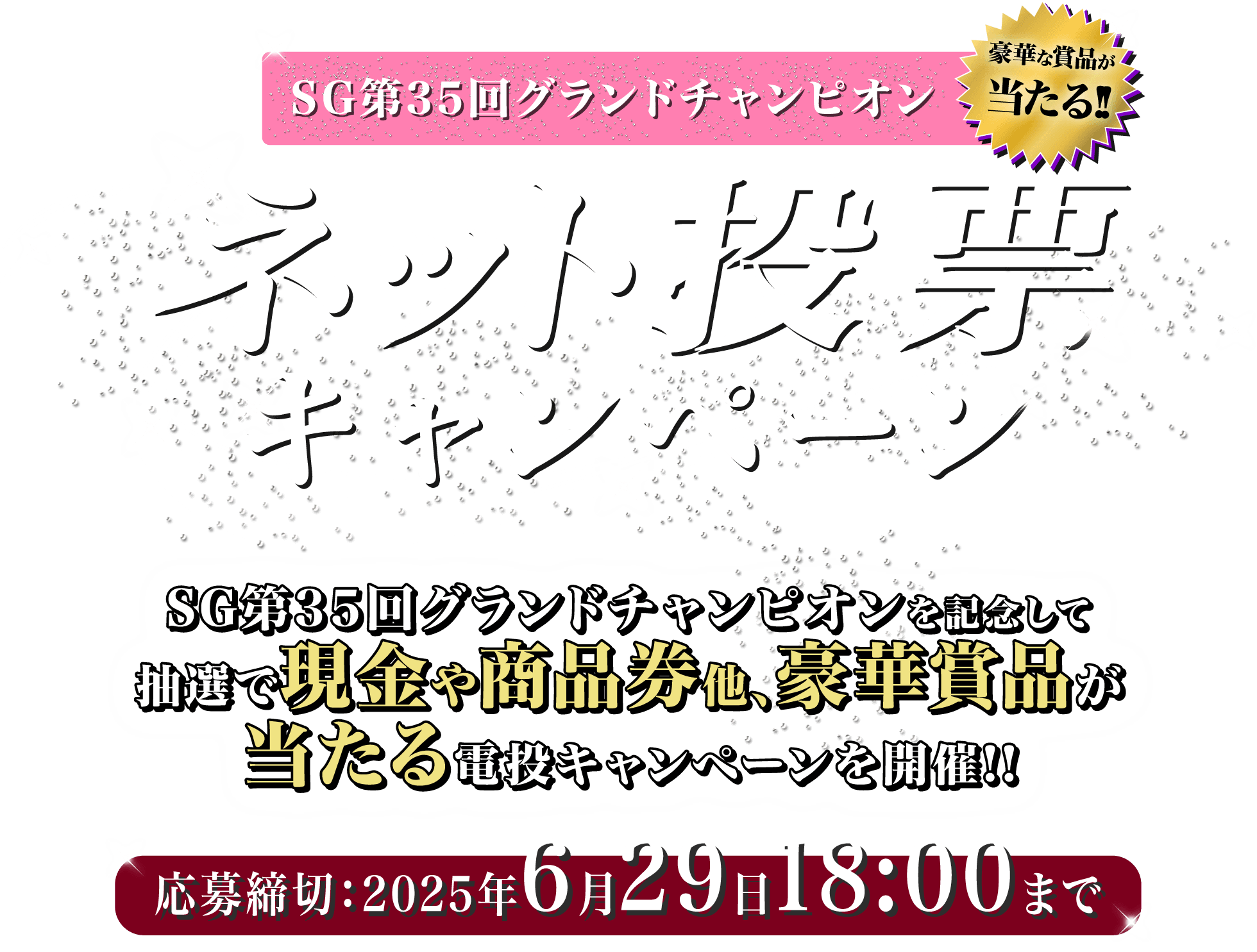 ネット投票キャンペーン