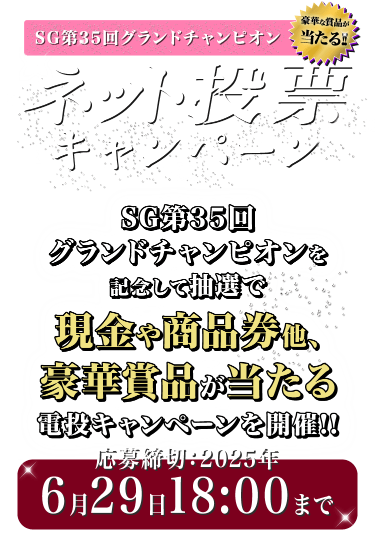 M-1 三連単予想キャンペーン ストラップ チケットホルダー 2024 安田記念 2024 想い出馬券ホルダー 勝負服ストラップ ナミュール